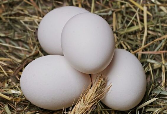 Bei der Eierdiät werden täglich Hühnereier verzehrt. 
