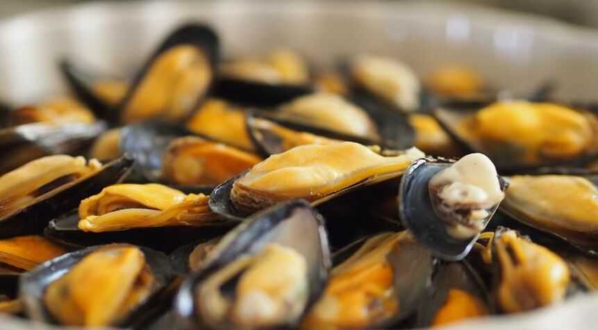 Muscheln auf Proteindiät