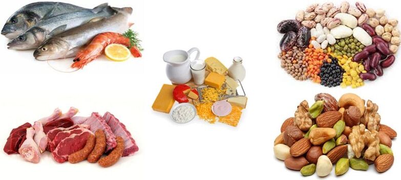 Proteinprodukte in einer Proteindiät